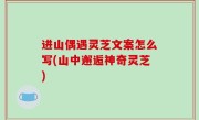进山偶遇灵芝文案怎么写(山中邂逅神奇灵芝)