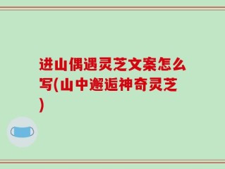 进山偶遇灵芝文案怎么写(山中邂逅神奇灵芝)