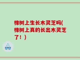 橡树上生长木灵芝吗(橡树上真的长出木灵芝了！)