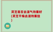 灵芝是否去湿气效果好(灵芝干燥去湿效果佳)