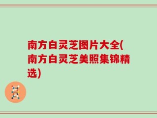 南方白灵芝图片大全(南方白灵芝美照集锦精选)