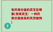 有药用价值的灵芝在哪里(发现灵芝：一种药用价值极高的天然植物)