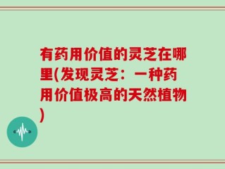 有药用价值的灵芝在哪里(发现灵芝：一种药用价值极高的天然植物)