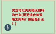 灵芝可以天天晒太阳吗为什么(灵芝适合每天晒太阳吗？原因是什么？)