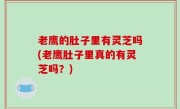 老鹰的肚子里有灵芝吗(老鹰肚子里真的有灵芝吗？)