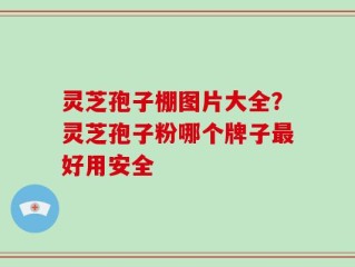 灵芝孢子棚图片大全？灵芝孢子粉哪个牌子最好用安全