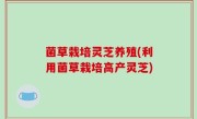 菌草栽培灵芝养殖(利用菌草栽培高产灵芝)