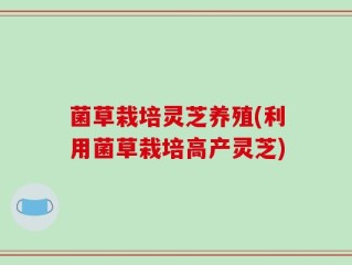 菌草栽培灵芝养殖(利用菌草栽培高产灵芝)