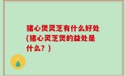 猪心煲灵芝有什么好处(猪心灵芝煲的益处是什么？)