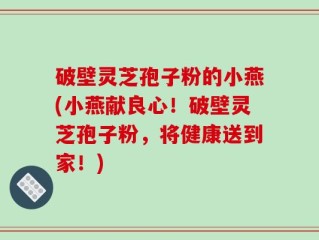 破壁灵芝孢子粉的小燕(小燕献良心！破壁灵芝孢子粉，将健康送到家！)