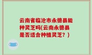 云南省临沧市永德县能种灵芝吗(云南永德县是否适合种植灵芝？)