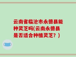 云南省临沧市永德县能种灵芝吗(云南永德县是否适合种植灵芝？)