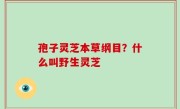 孢子灵芝本草纲目？什么叫野生灵芝