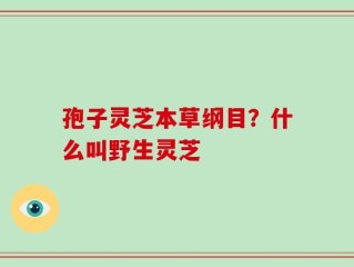 孢子灵芝本草纲目？什么叫野生灵芝