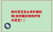 四川灵芝怎么养护最好呢(如何最好地养护四川灵芝？)