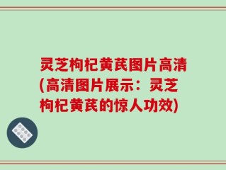 灵芝枸杞黄芪图片高清(高清图片展示：灵芝枸杞黄芪的惊人功效)
