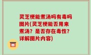 灵芝梗能煮汤吗有毒吗图片(灵芝梗能否用来煮汤？是否存在毒性？详解图片内容)