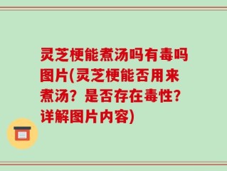 灵芝梗能煮汤吗有毒吗图片(灵芝梗能否用来煮汤？是否存在毒性？详解图片内容)
