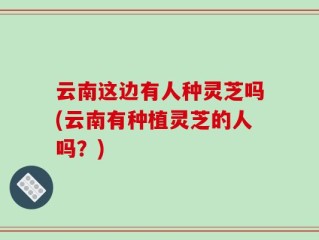 云南这边有人种灵芝吗(云南有种植灵芝的人吗？)