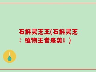 石斛灵芝王(石斛灵芝：植物王者来袭！)