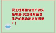 灵芝槐耳菌包生产源头是哪里(灵芝槐耳菌包生产的起始地点在哪里？)
