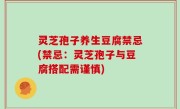 灵芝孢子养生豆腐禁忌(禁忌：灵芝孢子与豆腐搭配需谨慎)