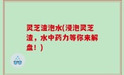 灵芝渣泡水(浸泡灵芝渣，水中药力等你来解盘！)