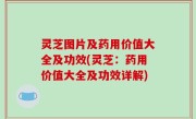 灵芝图片及药用价值大全及功效(灵芝：药用价值大全及功效详解)