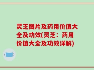 灵芝图片及药用价值大全及功效(灵芝：药用价值大全及功效详解)
