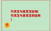 竹灵芝与紫灵芝区别(竹灵芝与紫灵芝的区别)