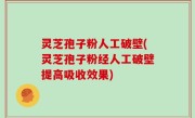 灵芝孢子粉人工破壁(灵芝孢子粉经人工破壁提高吸收效果)