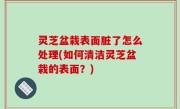 灵芝盆栽表面脏了怎么处理(如何清洁灵芝盆栽的表面？)
