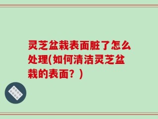 灵芝盆栽表面脏了怎么处理(如何清洁灵芝盆栽的表面？)