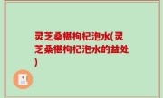 灵芝桑椹枸杞泡水(灵芝桑椹枸杞泡水的益处)