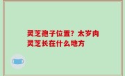 灵芝孢子位置？太岁肉灵芝长在什么地方