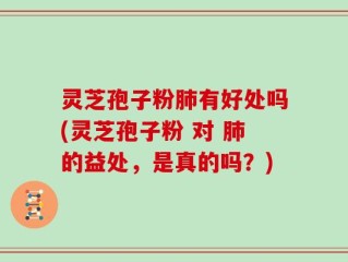 灵芝孢子粉肺有好处吗(灵芝孢子粉 对 肺的益处，是真的吗？)