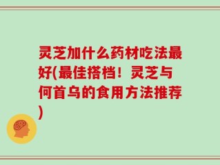 灵芝加什么药材吃法最好(最佳搭档！灵芝与何首乌的食用方法推荐)