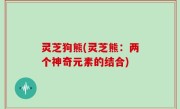 灵芝狗熊(灵芝熊：两个神奇元素的结合)