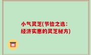小气灵芝(节俭之选：经济实惠的灵芝秘方)