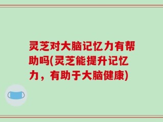 灵芝对大脑记忆力有帮助吗(灵芝能提升记忆力，有助于大脑健康)