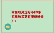 家里放灵芝好不好呀(家里放灵芝有哪些好处？)