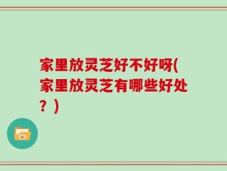 家里放灵芝好不好呀(家里放灵芝有哪些好处？)