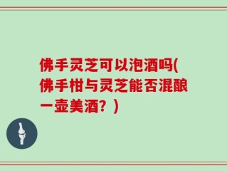 佛手灵芝可以泡酒吗(佛手柑与灵芝能否混酿一壶美酒？)