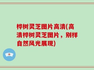 桦树灵芝图片高清(高清桦树灵芝图片，别样自然风光展现)
