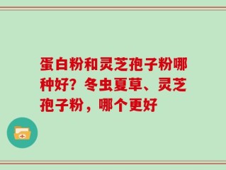 蛋白粉和灵芝孢子粉哪种好？冬虫夏草、灵芝孢子粉，哪个更好