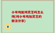 小母鸡能炖灵芝吗怎么炖(炖小母鸡加灵芝的做法分享)