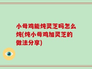 小母鸡能炖灵芝吗怎么炖(炖小母鸡加灵芝的做法分享)