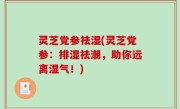 灵芝党参祛湿(灵芝党参：排湿祛潮，助你远离湿气！)