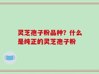 灵芝孢子粉品种？什么是纯正的灵芝孢子粉