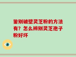 鉴别破壁灵芝粉的方法有？怎么辨别灵芝孢子粉好坏
